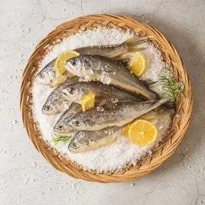 새담 법성포 영광굴비 1.4kg(20미)
