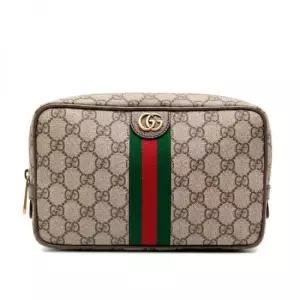 구찌 MUST IT_GUCCI 사보이 웹 WEB) 코스메틱 케이스 760019 96IWT 8745)