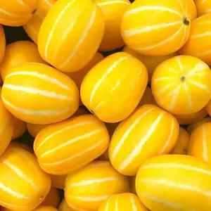 속이꽉찬 꿀당도 성주 꿀참외 10kg (혼합과)