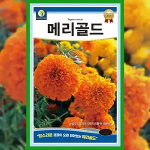 [파머씨드]메리골드 씨앗 100립 금잔화 종자 꽃씨 야생화 만수국