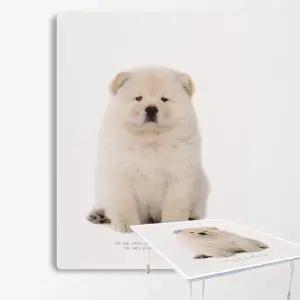 집들이선물 추천 원룸 거실 그림 액자 겸용 접이식 좌식테이블 49-차우차우