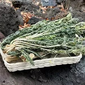 [지투지샵]산청 건시래기 500g