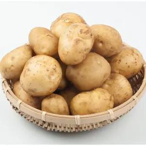 수미감자 대(90-130g내외) 2kg