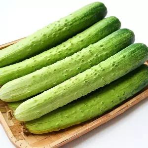 국내산 백오이 백다다기 오이 특품 10kg