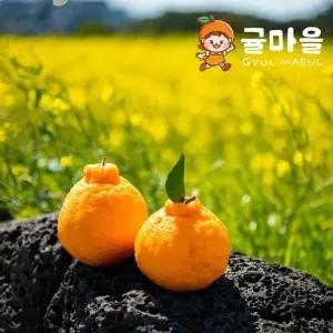 귤마을 프리미엄 하우스 한라봉 9kg 꼬마