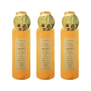 엘시시 프로폴린스 프로 가글 600ml 3개 / 비엔에스