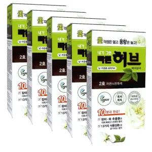 천연염색약 광동 내가그린 빠른허브 2호 x5개 자연스런 흑색 헤어칼라 새치 셀프 식물성분 160g