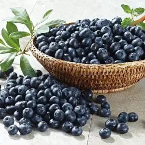 칠레산 냉동 블루베리 1kg + 1kg (총 2kg)