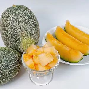 경북 고령 고당도 하미과 메론 1kg (2과 내외)