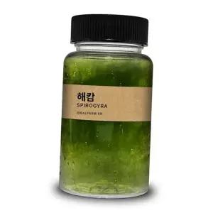 실험 관찰 해캄 과학실험 관찰용 100ml 초등 학교 해캄 녹조류 광합성 현미경 수질 담수 수조 정화