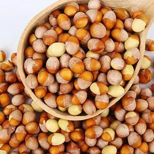 박경철농장 햇은행 깐은행 특대1kg 25년 햇은행