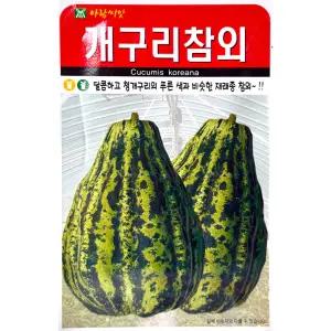 개구리참외 50립 아람 26년 참외씨앗