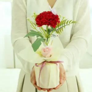 한송이 비누꽃 카네이션(빨강) 어버이날 스승의날 선물