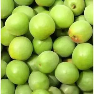 [6월초출고] 매실본고장-하동 청매실 10kg(특)