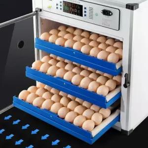 병아리육추기 병아리 계란 닭 달걀 알 부화기 곰
