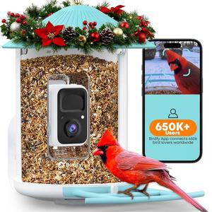 NETVUE BIRDFY 카메라가 있는 스마트 모이통 블루 스팀 감지 자동 비디오 카메라 위한 라이브 야외 모션 이상적인 카디널 뒷마당 관찰자를 선물 1080P 관찰 피더 캡처 무선