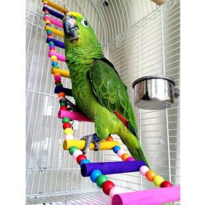 사다리 장난감 등반 다리 나무 앵무새 COCKATOO 핀치 BUDGIE 그네 잉꼬 액세서리 아마존 그레이 CONURE 아프리카 케이지