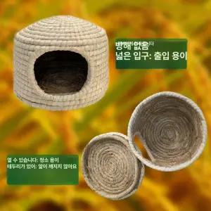 앵무새 산란 둥지 밀짚