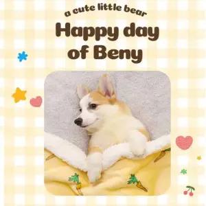친절한탄씨 극세사담요 따뜻포근 반려견 극세사 담요 극세사담요 반려동물담요 포근담요 이불