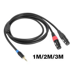 3.5mm 1/8인치 잭 2개의 XLR 3핀 케이블 어댑터로 변환 듀얼 분배 Y 스플리터 스테레오