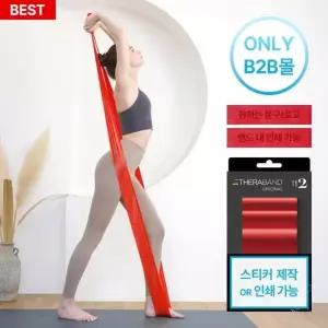 세라밴드 스트래칭용 레벨2 밴드 G55197 스트레칭용품