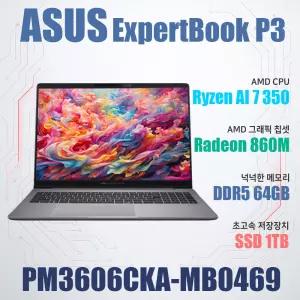ASUS ExpertBook P3 PM3606CKA-MB0469/WIN11설치