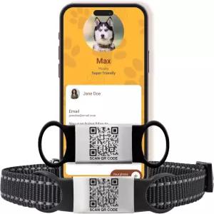 스마트 슬라이드 온 QR 코드 반려동물 태그 각인이 있는 조용한 개 및 고양이 ID 스테인리스 스틸 실리콘