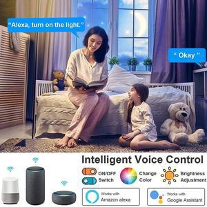 Tuya 스마트 WiFi BLE 천장 조명 AC 220V 24W RGBCW 라운드 실내 APP Alexa Geogle 홈 음성 제어