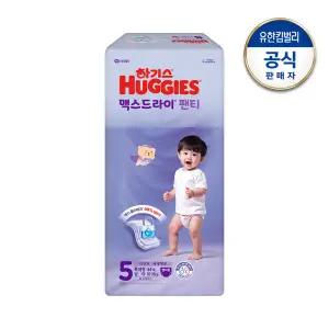 하기스 2025 맥스드라이 남아 기저귀 팬티형 5단계 44매 1팩 GST