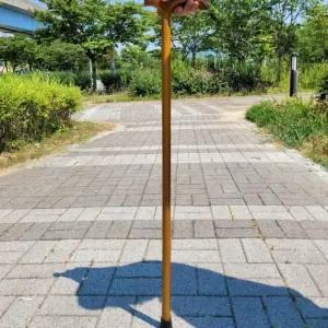 ( )지팡이나무 보행지팡이 노인보행보조 어르신지팡이 노인보조지팡이 휴대용지팡이 지팡이