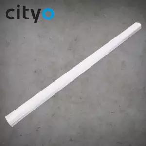 씨티오 LED 레이 직부등 60W 1200mm