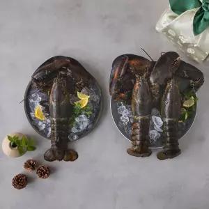 [프롬바당](신세계 사우스시티)활랍스터 대 (1마리 1kg) 3미 3kg(백화점선물포장)