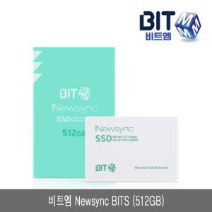 비트엠 Newsync BITS (512GB) SATA3 2.5인치 SSD TLC 3D 낸드플래시 512기가 내장형