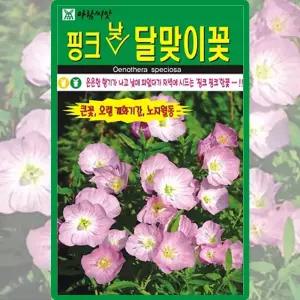 아람종묘 핑크낮달맞이꽃 씨앗 500립 달맞이꽃씨 야생화 종자