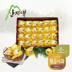 산지애 씻어나온 어린이 골드 꿀사과 5kg