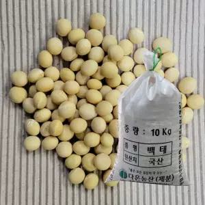 [다온농산] 2025년산 국산 백태/메주콩/흰콩/두부콩 -10Kg- (강원도 홍천,인제 농가)