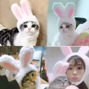 켈리몰 강아지 고양이 애완 토끼귀모자 악세서리 (W784A09)