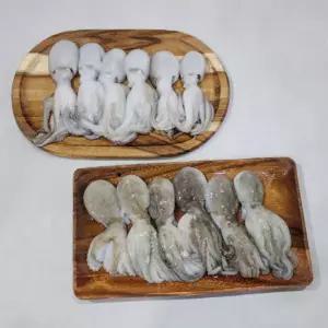 대왕 선동 활 쭈꾸미 1kg