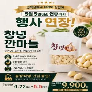 창녕 깐마늘 당일선별 가정용 업소용 300g, 1개