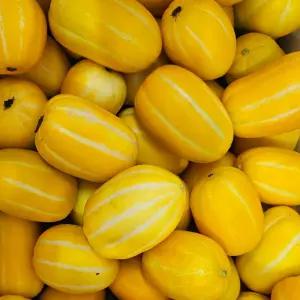 (가정용) 참외 성주 실속 제철 참외 2kg 소과(10-14과) / 산지직 송연구소