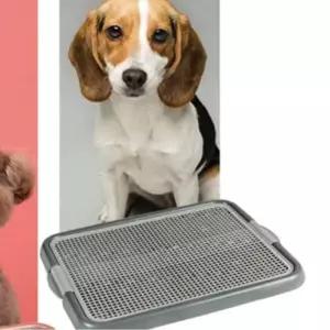 소형견 모던칼라 원터치 간편 배변판 펫샵 개화장실 퍼피 위생적인