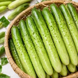 국내산 백다다기 오이 김치용 오이소박이용 백오이 아삭한 생오이 신선배송 10kg(실중량)