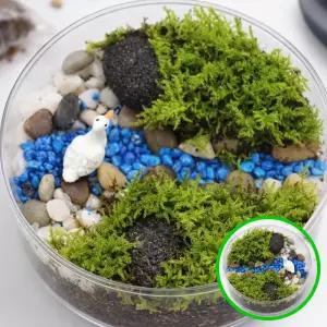 MF08 깃털이끼 DIY 키트 1인용 이끼 만들기 체험 오리 소품 미니정원 생태체험 식물키우기키트