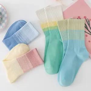 파스텔컬러삭스 골지양말 포인트 패션양말 장목 양말 컬러풀 예쁜 캐주얼 무지개 발목 여성 무 면양말