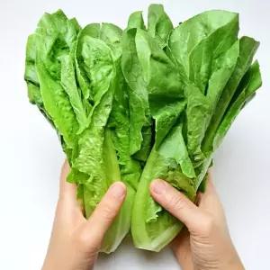 [NS홈쇼핑]국내산 통로메인 상추 1kg+1kg (총 2kg발송)[35856284]