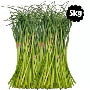 마늘귀신 국산 의성 햇 마늘쫑 5kg / 직접수확 마늘종