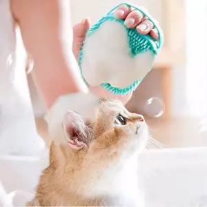 집사 필수템 고양이 강아지 목욕 브러쉬 샴푸 마사지 솔 실리콘 샤워 용품
