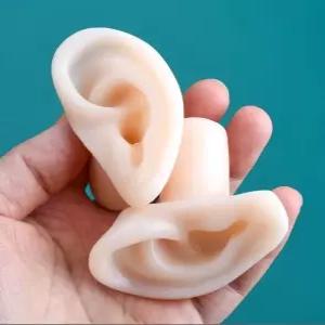 가짜 연습 용 귀 사람 전시 모형 모양 소품 디피 asmr 디스플레이 인체