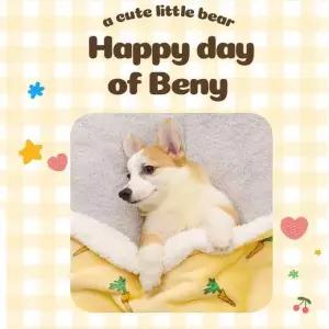 겨울 강아지 극세사 담요 무릎 고양이 반려견 WFLRBMD