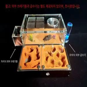 개미 사육장 키우기